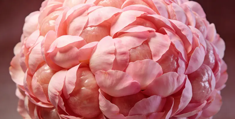 湖州BRCA1/2乳腺癌卵巢癌基因检测图片1